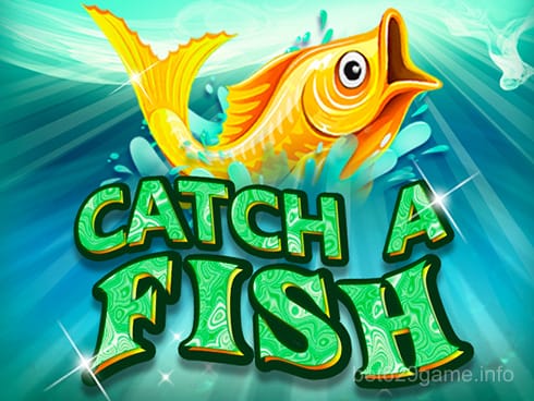 Catch a Fish Bingo Game Image